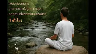 Calm Music, Meditation Music, Meditation Music No ads, Stress relief Music