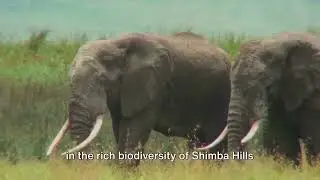 Exploring the South Coast of Kenya