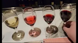 First Time Using Our Wine Notebooks!