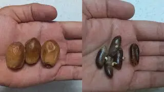 Как получить больше свиданий
