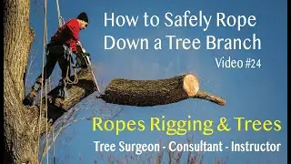 How to Safely Rope Down a Tree Branch #12