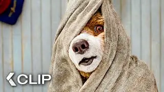 Paddington Sleeps as the Captain Betrays His Own Daughter - PADDINGTON IN PERU Clip (2025)