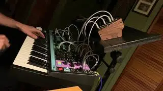 Moog Matriarch, Moog DFAM, Meris Mercury 7