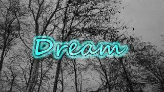 Lost Stardust - project dream