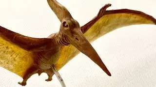 Pteranodon Model Kit from Tamiya
