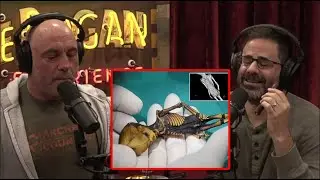 Joe Rogan - THE MENEHUNE : appear 'LITTLE PEOPLE' of hawaii