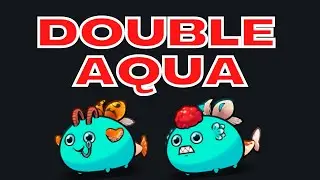 Rank 5 3342 MMR Dusk Double Aqua Arco Scarab Spiky Wing Koi | Season 21 | Axie Infinity