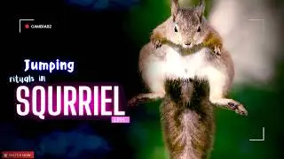 &ldquo;Squirrels in Love: Nature&rsquo;s Tiny Romance&rdquo;  #WildIntimix #NatureFootage #animallove #SquirrelsInLove
