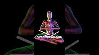 Kundalini energy and sexual transmutation