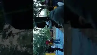 Holud pakhi by Naiyaa