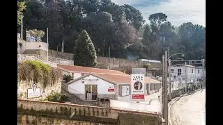 Visit to the Associazione Verace Pizza Napoletana AVPN 