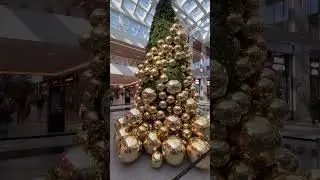 Beautiful Christmas Trees of Dubai