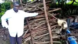 Fire wood for Bunyanga Bright Primary