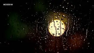 Rain Fuse | French Fuse | Beautiful Relaxing Music 3 Hours Non Stop Music || MOODS1M