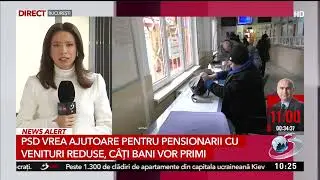 PSD vrea ajutoare pentru pensionarii cu venituri reduse. C&acirc;ți bani vor primi