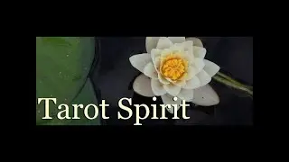 ARIES ~ December 2019 Tarot Reading