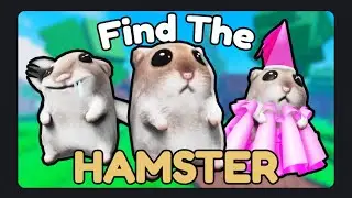 Find the Hamsters Part#3 (Beach) #roblox