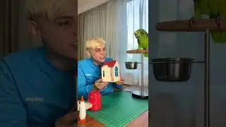 Building a Cozy Birdhouse for My Parrot 🦜🏠 #parrot #birdhouse #DIY #cute