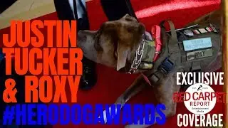 Justin Tucker & Roxy interviewed at 2018 American Humane Hero Dog Awards #HallmarkChannel