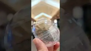 open a surprise money ball with my dad! #tokyo #japan #shorts