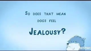Do Dogs Get Jealous? | INSIDE A DOG'S BRAIN