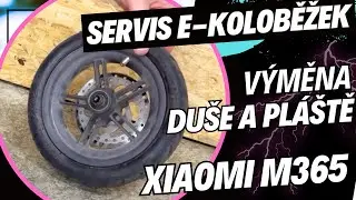 Výměna píchlé duše a poškozeného pláště na elektrokoloběžce Xiaomi M365 - Elektrokoloběžkový servis