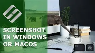 Taking a Screenshot in Windows or MacOS (Hotkeys, Software) 💻⌨️🖼️