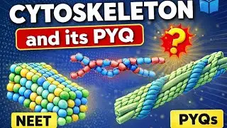 Cytoskeleton | NCERT Class 11 | NEET PYQs with Years 🔥