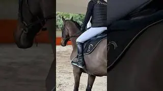Presentazione stalloni con Ad Stallions