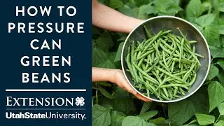 How to Pressure Can Green Beans