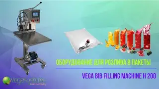 Оборудование для розлива жидкостей в пакеты Bag-in-Box - Vega BIB Filling Machine H 200