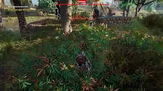 Assassin's Creed Origins - Whistle (free exp)