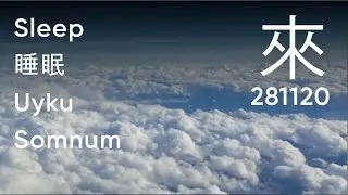 Sleep | 睡眠 | Uyku | Somnum | Cпать | SLEEPING MODE VIDEO |HIGH DEFINITION|