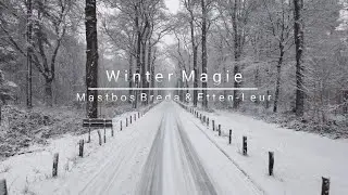 Wintermagie - Mastbos Breda & Etten-Leur 4K