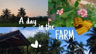 A day in the Farm 🌸☁️🦩 | aesthetic nature vlog, cooking, life of an Indian girl