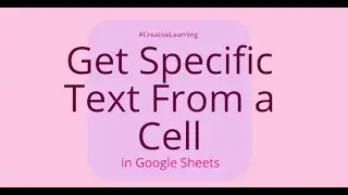 How to get a specific text from a cell in Excel or Google Sheets? 💁