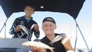 We got a feed, hooked a salmon