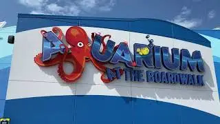 Аквариум Брэнсона в The Boardwalk 2021 &mdash; полная экскурсия и прогулка