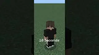 -10 seconds of lifetime🫵 #mcshorts #unfunny 
