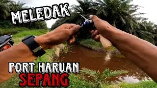 casting haruan || haruan size idaman memang suka tempat macam ni || @adyflychannel