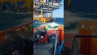 Зарплата 25000$ в месяц #рек