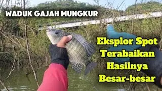Mancing WGM Terbaru||Disini Hasilnya Besar besar‼️Spot Terabaikan Pemancing ⁉️#mancing #fishing #wgm