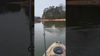 Chasing Schooling Bass in December Lake Lanier