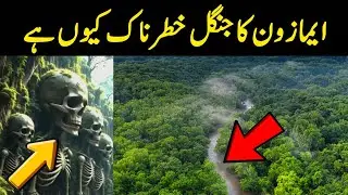 Amazon Rainforest: Hidden Secrets, Dangerous Tribes & Untold Facts | 7-Minute 