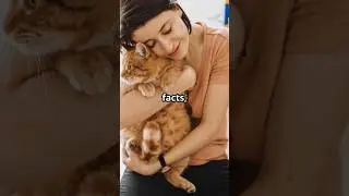 Что заставляет кошек искать тепло зимой?