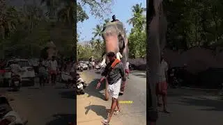 ഉക്കൻസ് കുഞ്ചു ഇന്ന് #aanapremikal #aanapremi