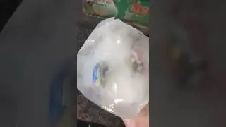 frozen Winning Valkyrie and Z Achilles (Frozen beyblade)
