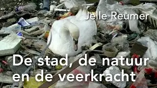 De stad, de natuur en de veerkracht