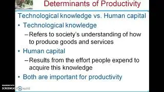 Tech knowledge vs Human Capital