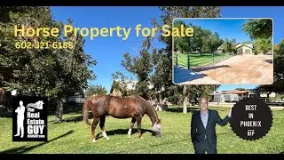 18950 E VIA DE PALMAS #HorseProperty in #QueenCreek AZ 602-321-6188 for Details: #rls8guy #shorts